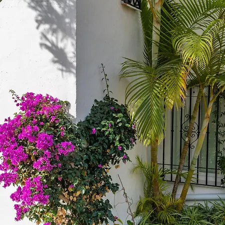 Tetuan 15 - Oasis Nerja