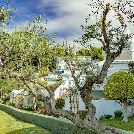 Tetuan 15 - Oasis Nerja